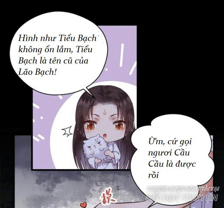 Tuyệt Sắc Quyến Rũ: Quỷ Y Chí Tôn Chapter 137 - Trang 2