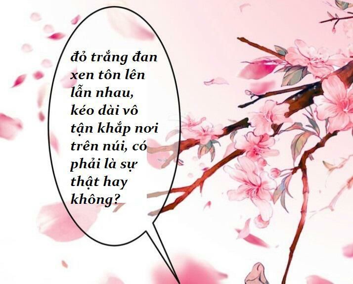 Tuyệt Sắc Quyến Rũ: Quỷ Y Chí Tôn Chapter 33 - Trang 2