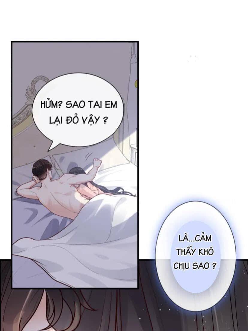 Cô Vợ Hợp Đồng Bỏ Trốn Của Tổng Giám Đốc Chapter 395.5 - Trang 2