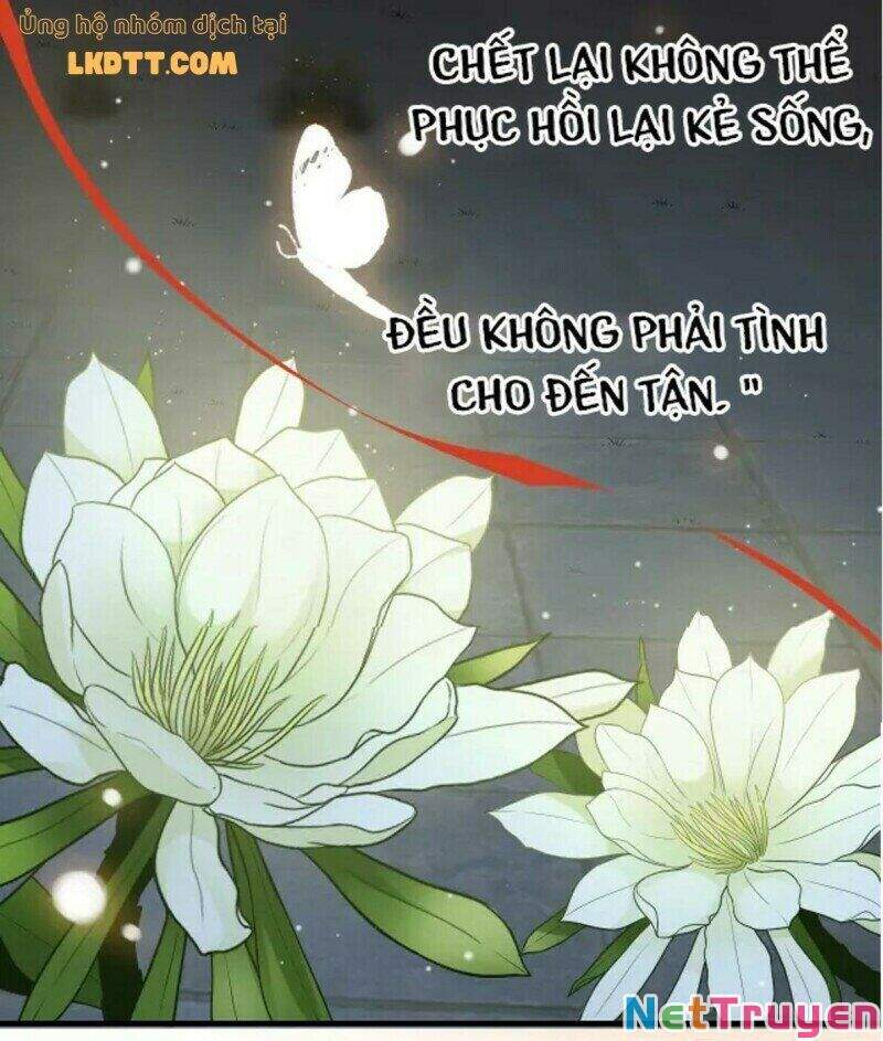 Cô Vợ Hợp Đồng Bỏ Trốn Của Tổng Giám Đốc Chapter 366 - Trang 2