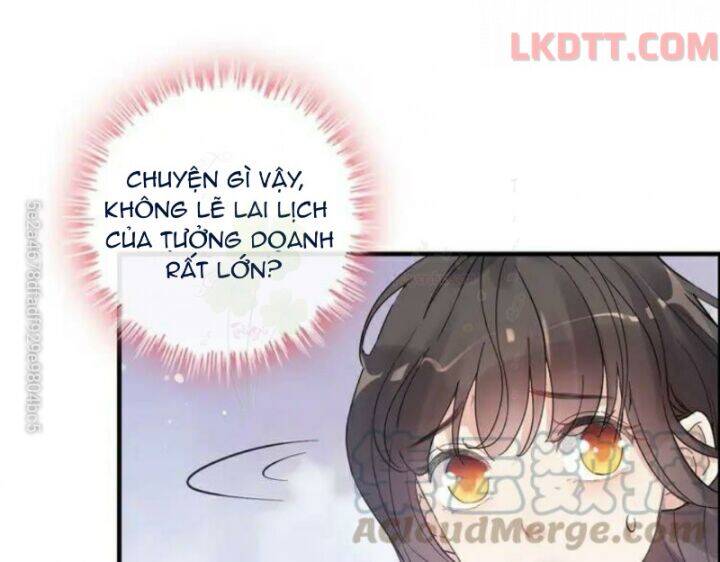 Cô Vợ Hợp Đồng Bỏ Trốn Của Tổng Giám Đốc Chapter 342 - Trang 2