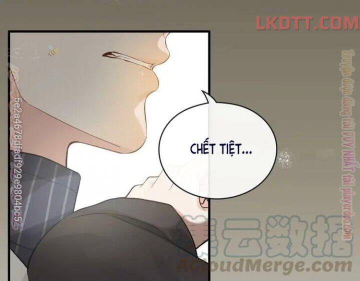 Cô Vợ Hợp Đồng Bỏ Trốn Của Tổng Giám Đốc Chapter 339 - Trang 2