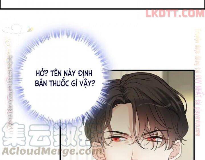 Cô Vợ Hợp Đồng Bỏ Trốn Của Tổng Giám Đốc Chapter 339 - Trang 2