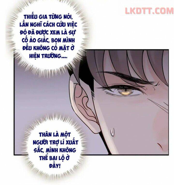 Cô Vợ Hợp Đồng Bỏ Trốn Của Tổng Giám Đốc Chapter 337 - Trang 2