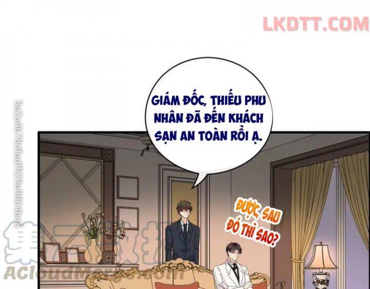 Cô Vợ Hợp Đồng Bỏ Trốn Của Tổng Giám Đốc Chapter 336 - Trang 2