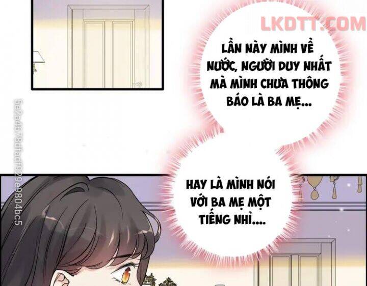 Cô Vợ Hợp Đồng Bỏ Trốn Của Tổng Giám Đốc Chapter 336 - Trang 2