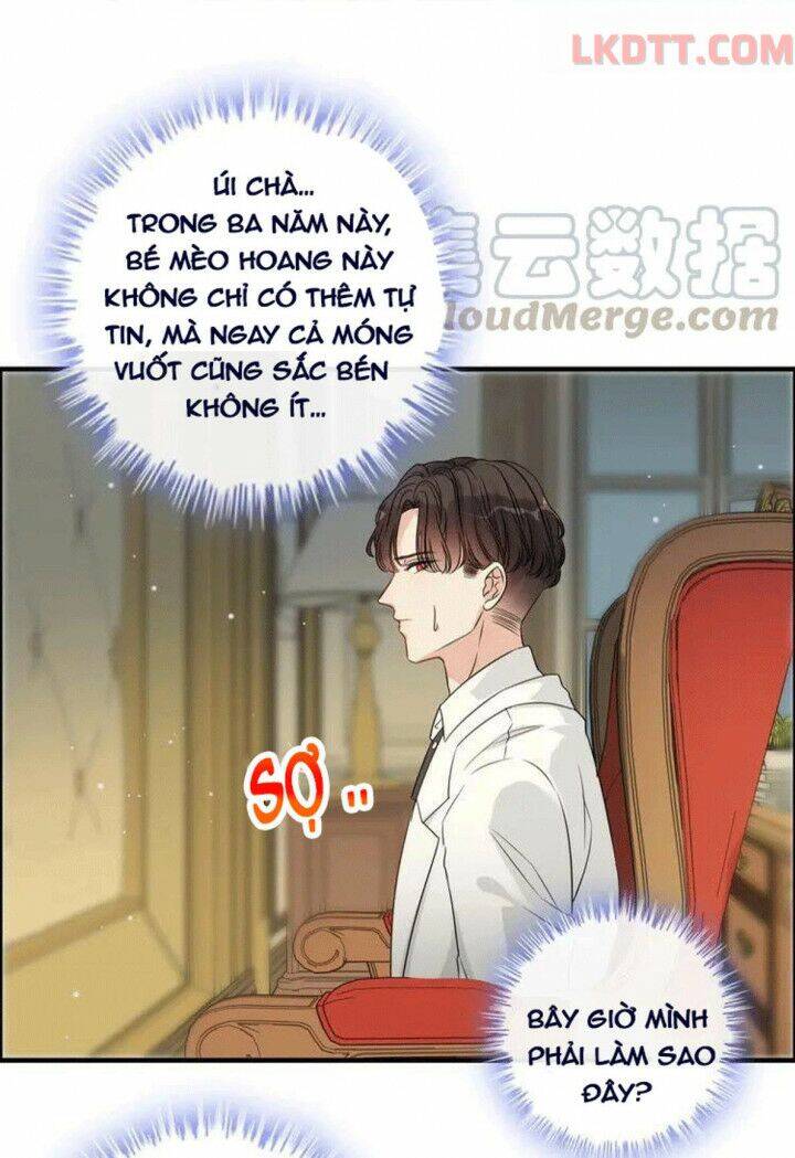 Cô Vợ Hợp Đồng Bỏ Trốn Của Tổng Giám Đốc Chapter 334 - Trang 2