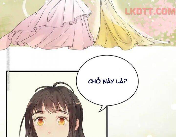 Cô Vợ Hợp Đồng Bỏ Trốn Của Tổng Giám Đốc Chapter 333 - Trang 2