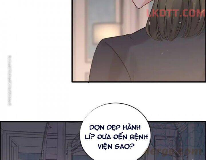 Cô Vợ Hợp Đồng Bỏ Trốn Của Tổng Giám Đốc Chapter 333 - Trang 2