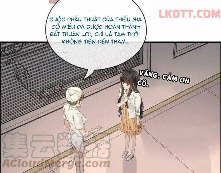 Cô Vợ Hợp Đồng Bỏ Trốn Của Tổng Giám Đốc Chapter 332 - Trang 2