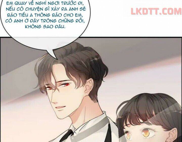 Cô Vợ Hợp Đồng Bỏ Trốn Của Tổng Giám Đốc Chapter 332 - Trang 2