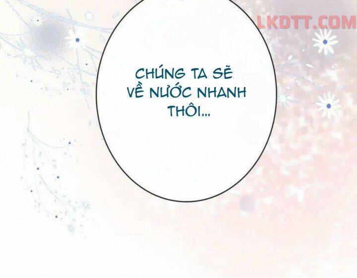 Cô Vợ Hợp Đồng Bỏ Trốn Của Tổng Giám Đốc Chapter 332 - Trang 2