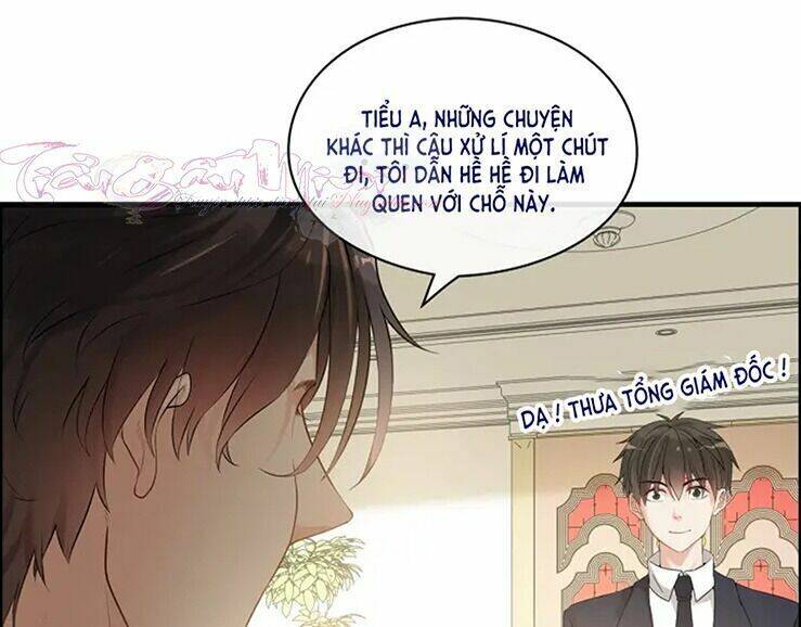 Cô Vợ Hợp Đồng Bỏ Trốn Của Tổng Giám Đốc Chapter 320 - Trang 2