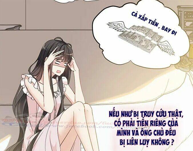 Cô Vợ Hợp Đồng Bỏ Trốn Của Tổng Giám Đốc Chapter 318 - Trang 2