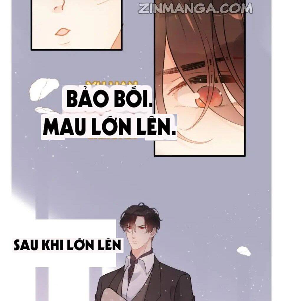 Cô Vợ Hợp Đồng Bỏ Trốn Của Tổng Giám Đốc Chapter 302 - Trang 2