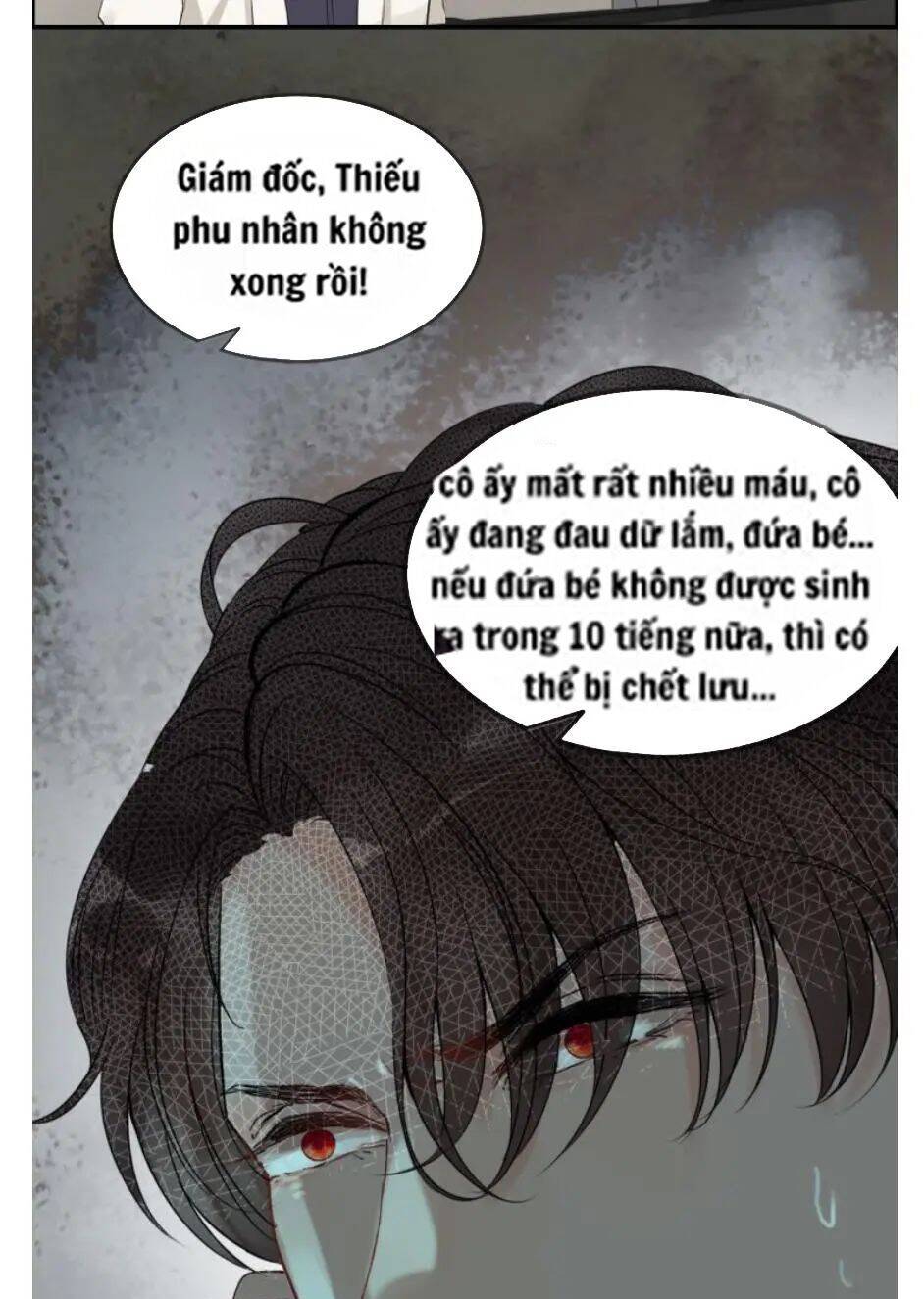 Cô Vợ Hợp Đồng Bỏ Trốn Của Tổng Giám Đốc Chapter 300 - Trang 2