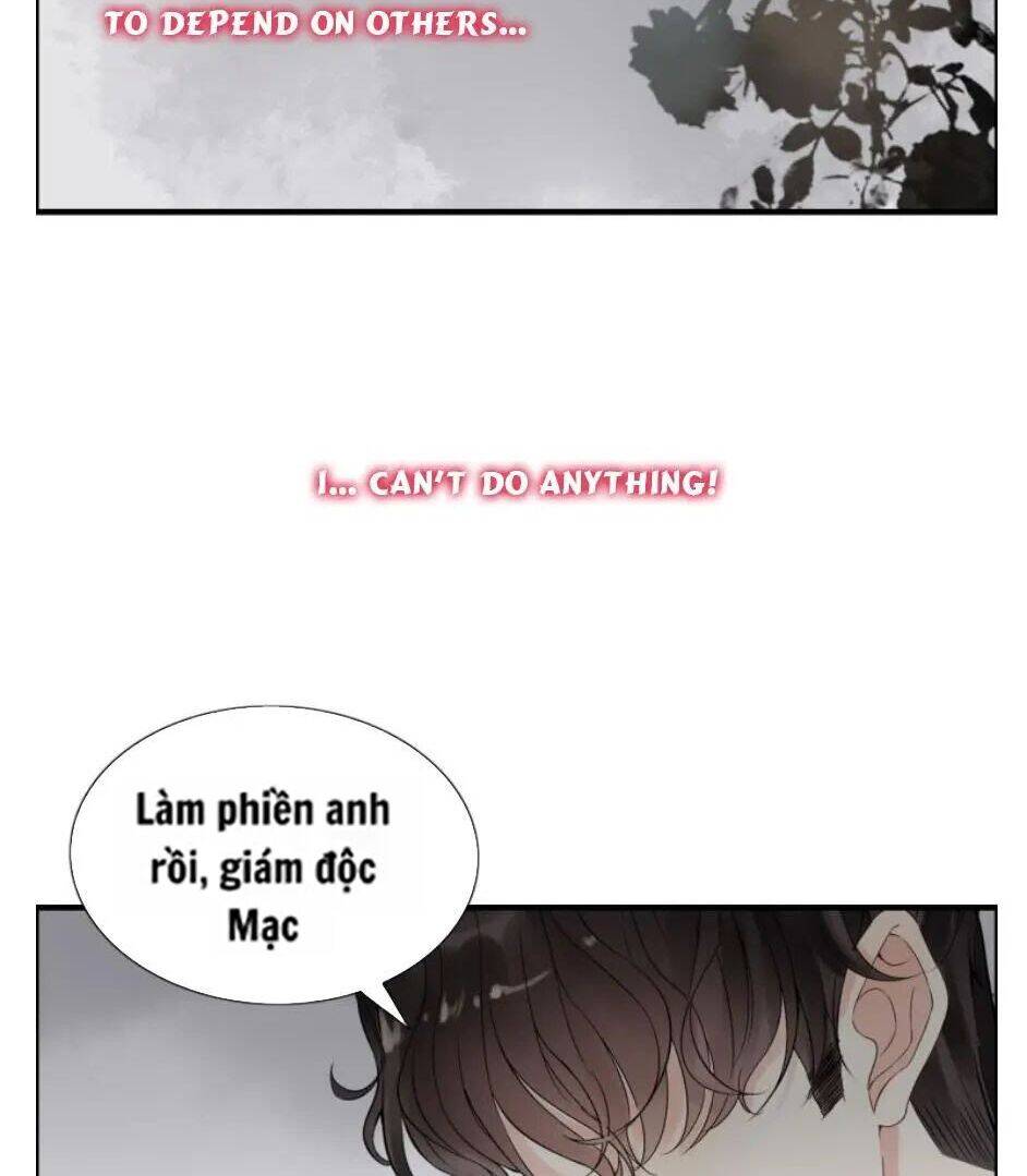 Cô Vợ Hợp Đồng Bỏ Trốn Của Tổng Giám Đốc Chapter 300 - Trang 2