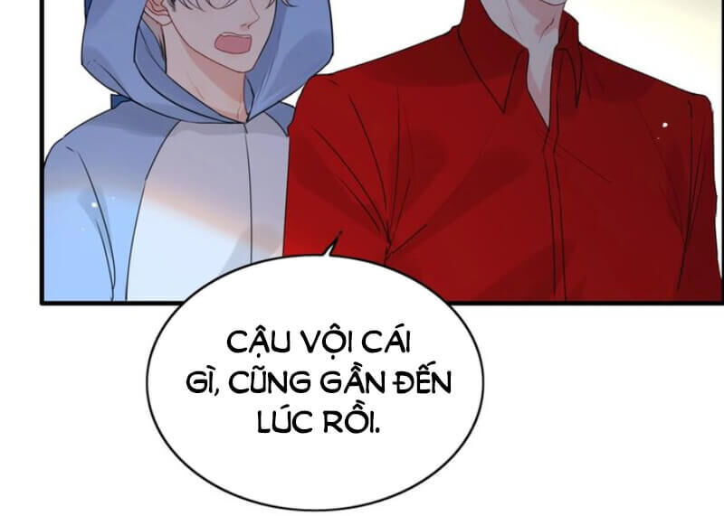 Cô Vợ Hợp Đồng Bỏ Trốn Của Tổng Giám Đốc Chapter 249 - Trang 2