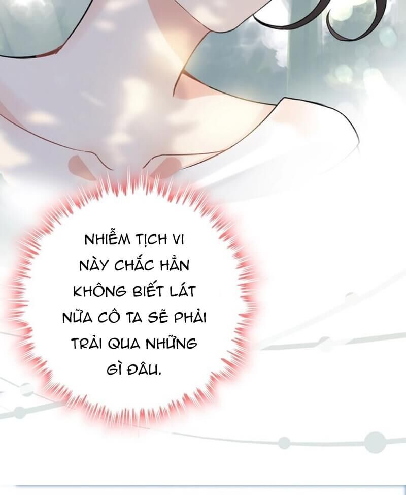 Cô Vợ Hợp Đồng Bỏ Trốn Của Tổng Giám Đốc Chapter 246 - Trang 2