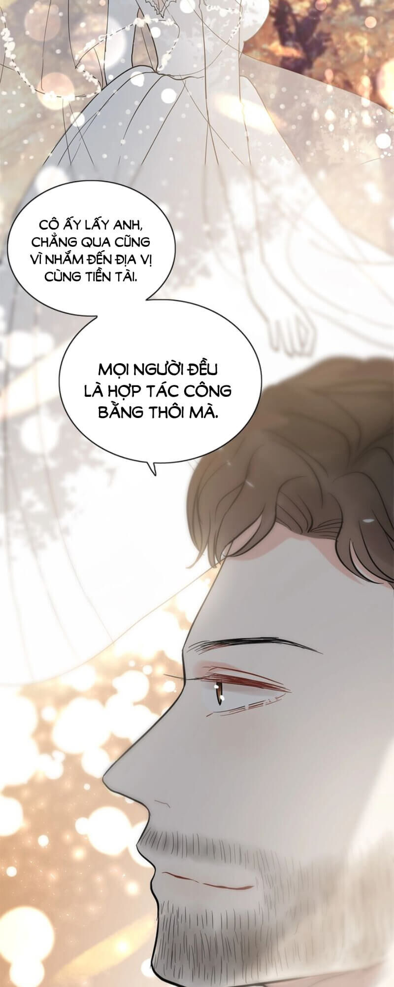 Cô Vợ Hợp Đồng Bỏ Trốn Của Tổng Giám Đốc Chapter 242 - Trang 2