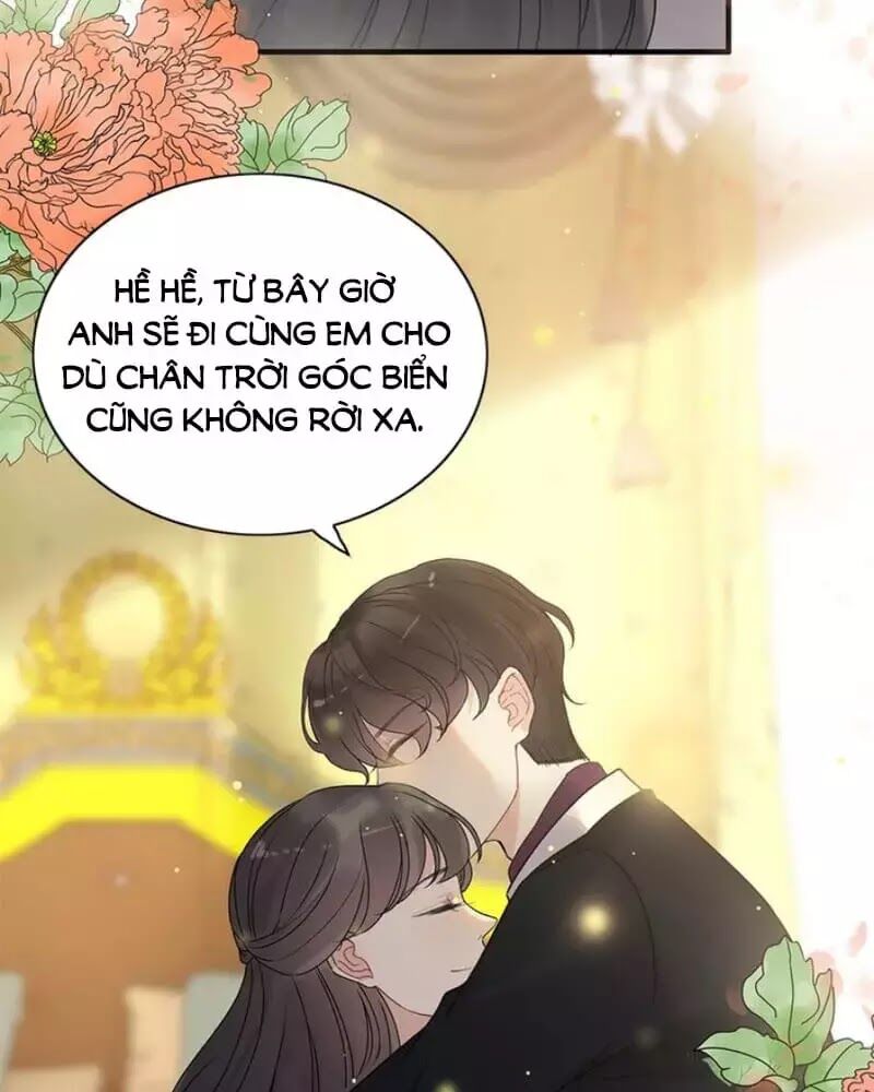 Cô Vợ Hợp Đồng Bỏ Trốn Của Tổng Giám Đốc Chapter 240 - Trang 2