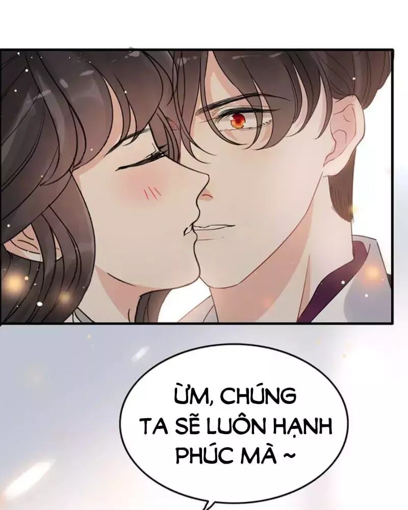 Cô Vợ Hợp Đồng Bỏ Trốn Của Tổng Giám Đốc Chapter 240 - Trang 2