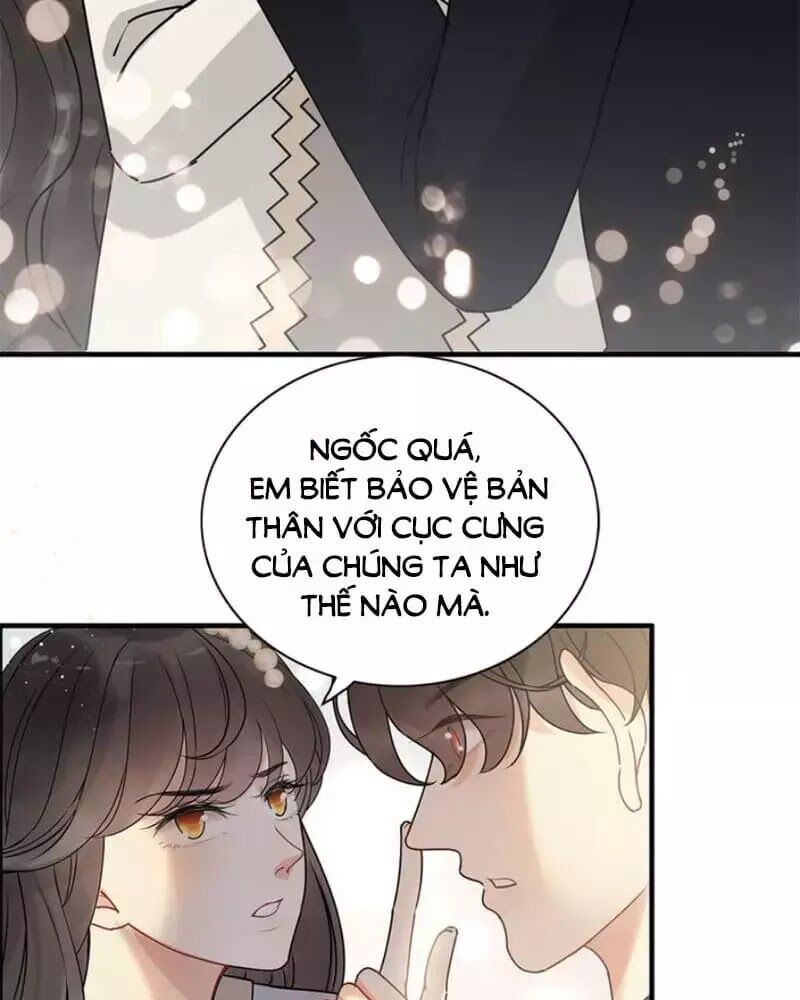 Cô Vợ Hợp Đồng Bỏ Trốn Của Tổng Giám Đốc Chapter 240 - Trang 2