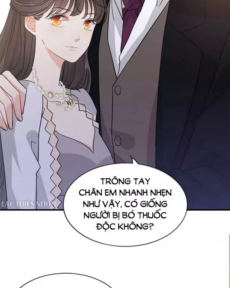 Cô Vợ Hợp Đồng Bỏ Trốn Của Tổng Giám Đốc Chapter 239 - Trang 2