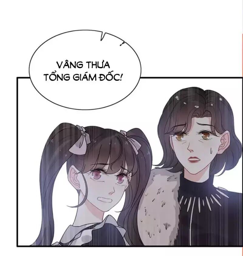 Cô Vợ Hợp Đồng Bỏ Trốn Của Tổng Giám Đốc Chapter 239 - Trang 2