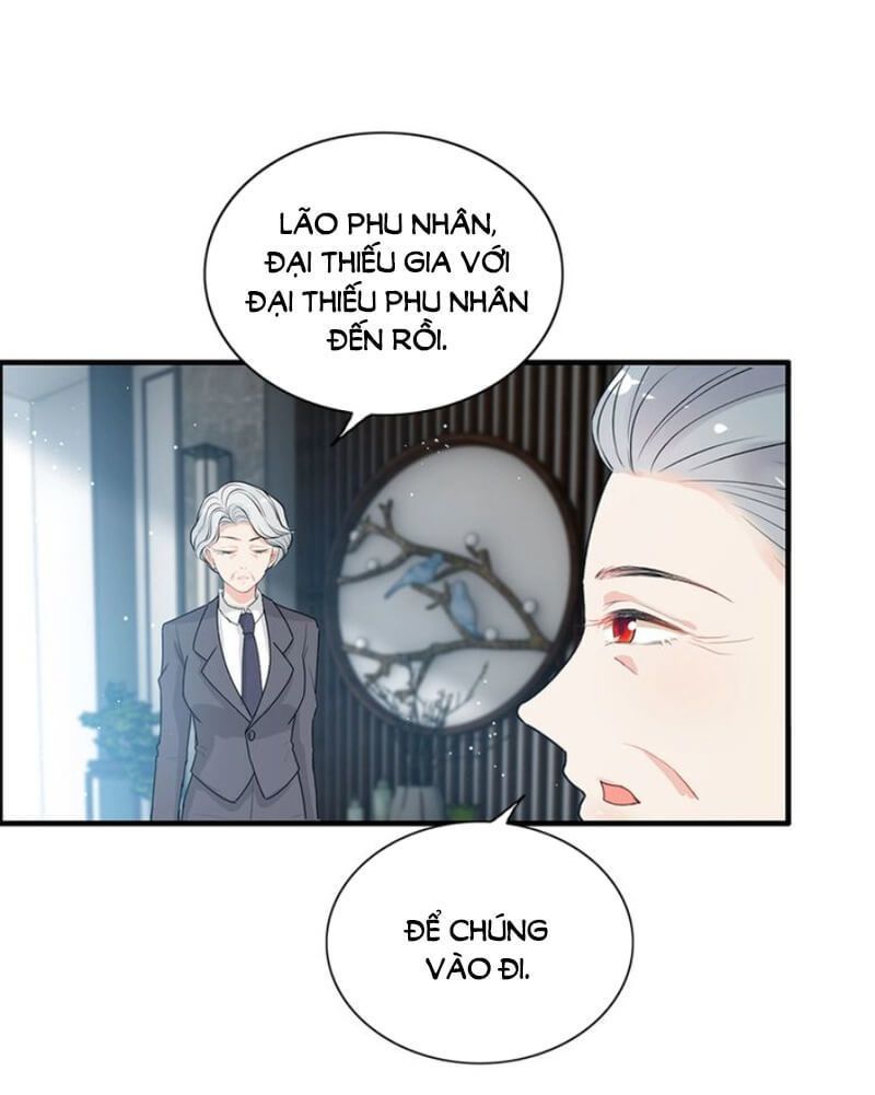 Cô Vợ Hợp Đồng Bỏ Trốn Của Tổng Giám Đốc Chapter 236 - Trang 2