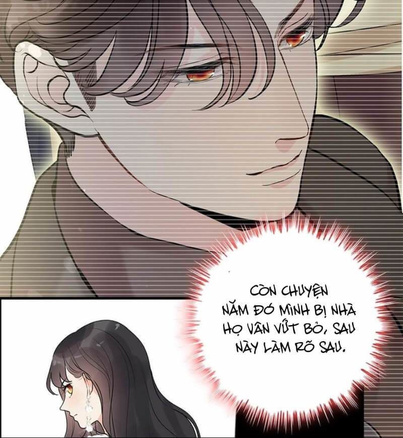 Cô Vợ Hợp Đồng Bỏ Trốn Của Tổng Giám Đốc Chapter 228 - Trang 2