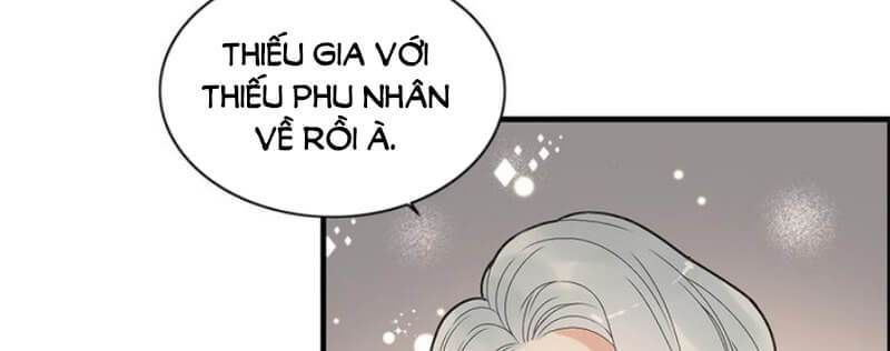 Cô Vợ Hợp Đồng Bỏ Trốn Của Tổng Giám Đốc Chapter 223 - Trang 2