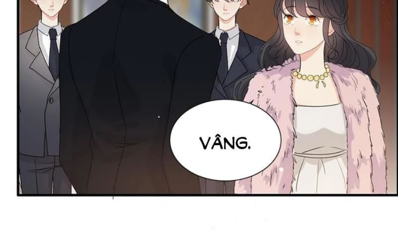 Cô Vợ Hợp Đồng Bỏ Trốn Của Tổng Giám Đốc Chapter 223 - Trang 2