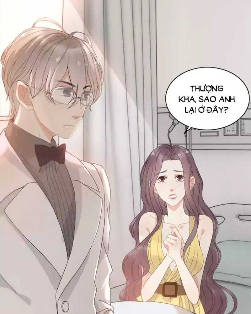 Cô Vợ Hợp Đồng Bỏ Trốn Của Tổng Giám Đốc Chapter 221 - Trang 2