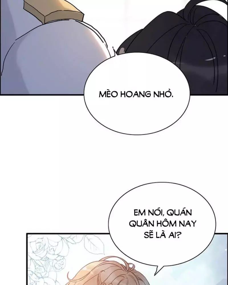 Cô Vợ Hợp Đồng Bỏ Trốn Của Tổng Giám Đốc Chapter 219 - Trang 2