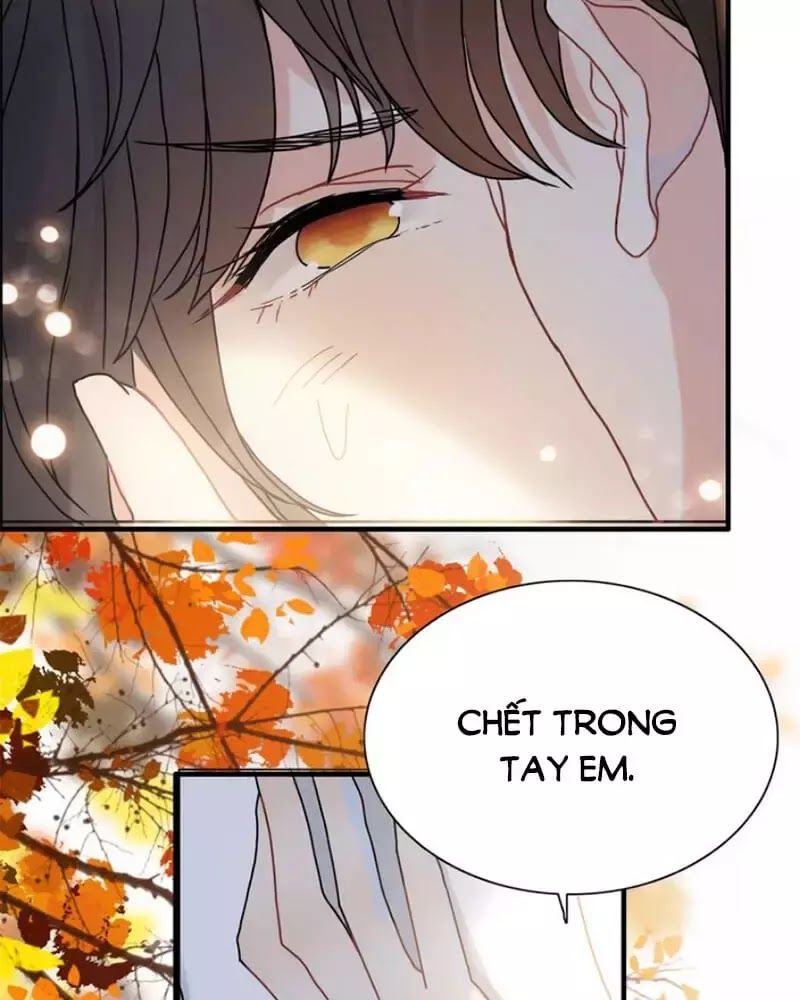 Cô Vợ Hợp Đồng Bỏ Trốn Của Tổng Giám Đốc Chapter 219 - Trang 2