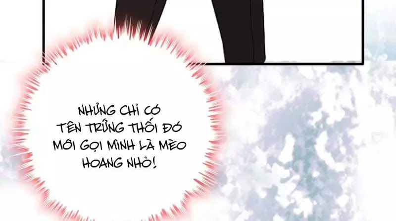 Cô Vợ Hợp Đồng Bỏ Trốn Của Tổng Giám Đốc Chapter 219 - Trang 2