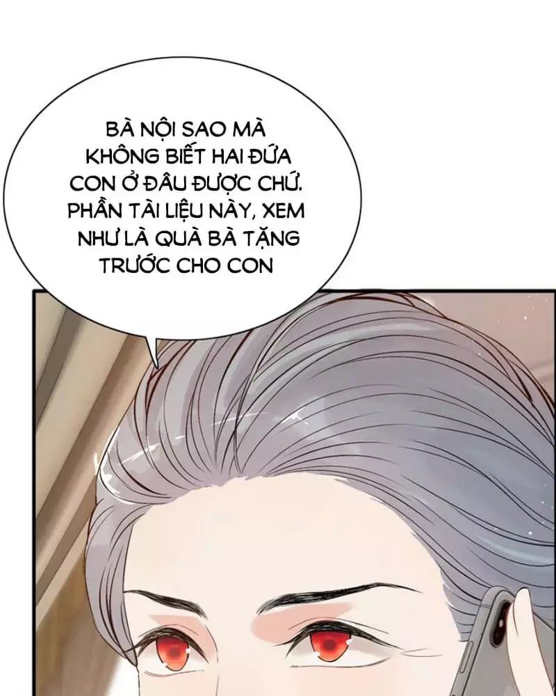 Cô Vợ Hợp Đồng Bỏ Trốn Của Tổng Giám Đốc Chapter 215 - Trang 2