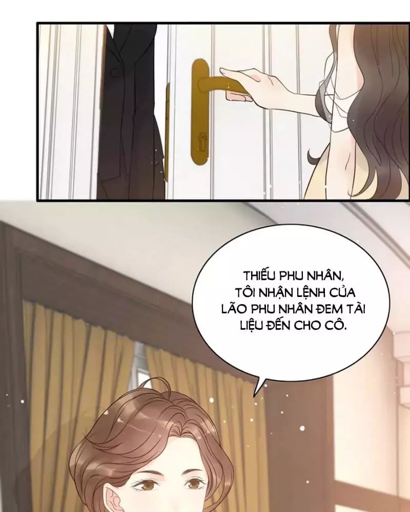 Cô Vợ Hợp Đồng Bỏ Trốn Của Tổng Giám Đốc Chapter 215 - Trang 2