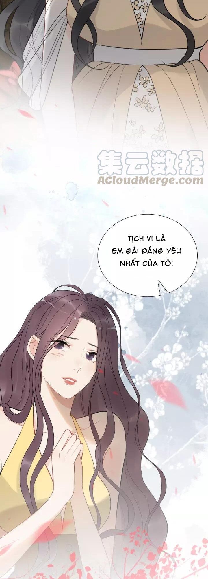 Cô Vợ Hợp Đồng Bỏ Trốn Của Tổng Giám Đốc Chapter 212 - Trang 2