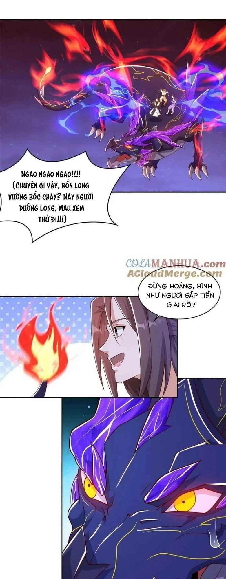 Người Nuôi Rồng Chapter 340 - Trang 2