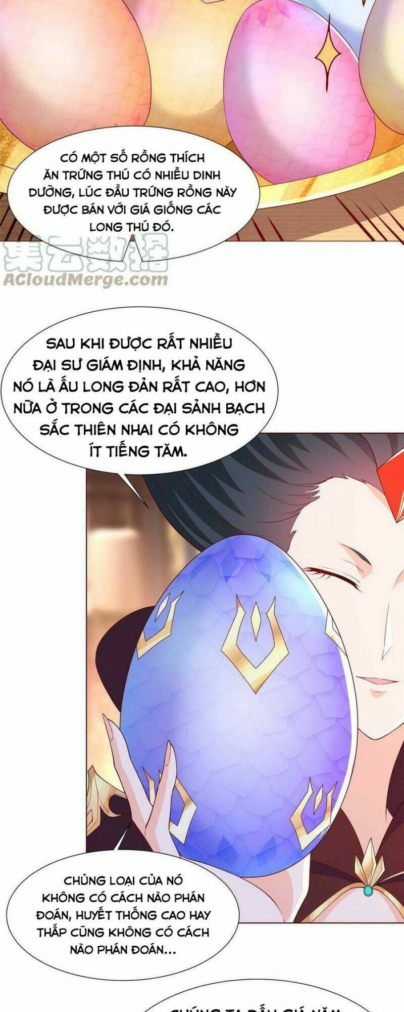 Người Nuôi Rồng Chapter 206 - Trang 2