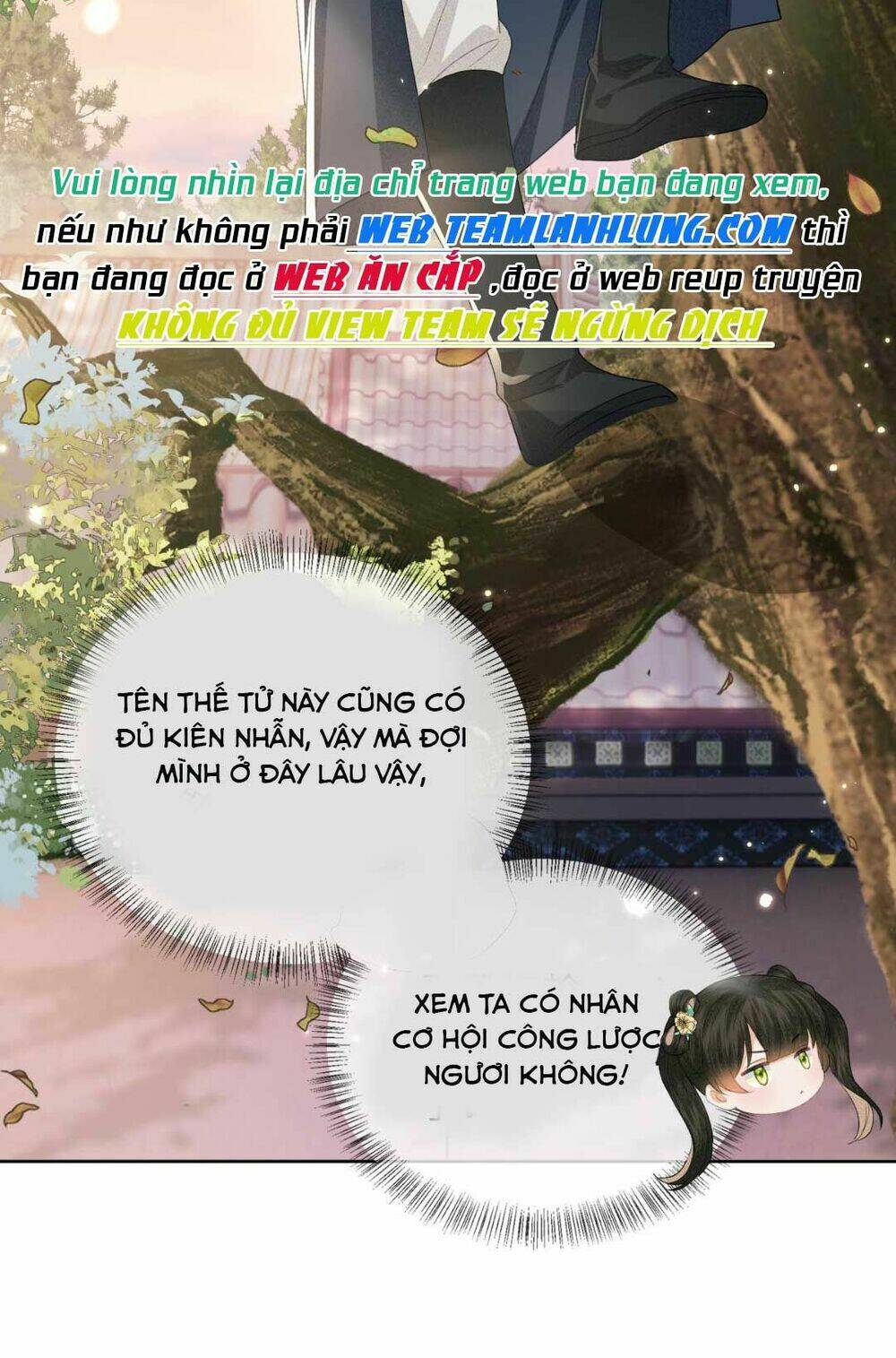 Mãn Cấp Trà Xanh Xuyên Không Thành Tiểu Đáng Thương Chapter 17 - Trang 2