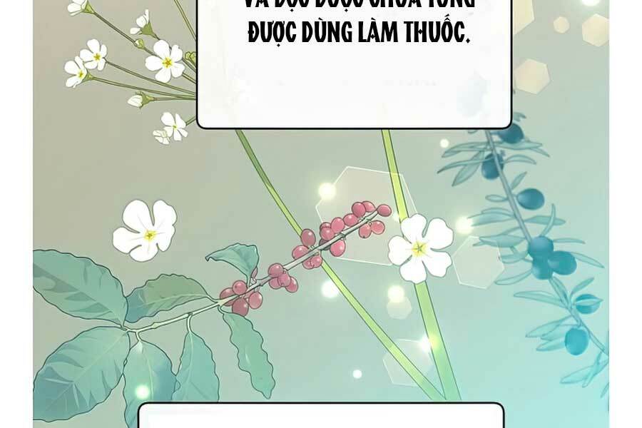 Anh Hùng Mạnh Nhất Trở Lại Chapter 63 - Trang 2