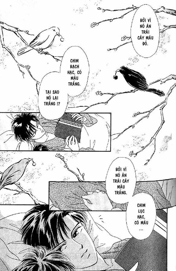 Kago No Tori Chapter 3 - Trang 2