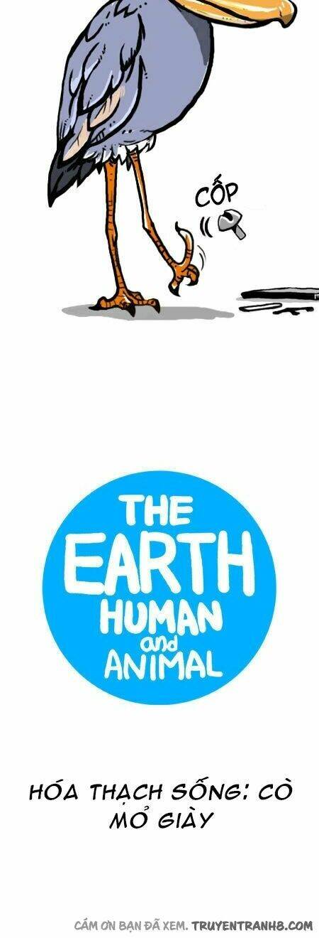 The Earth, Human, And Animal Chapter 14 - Trang 2