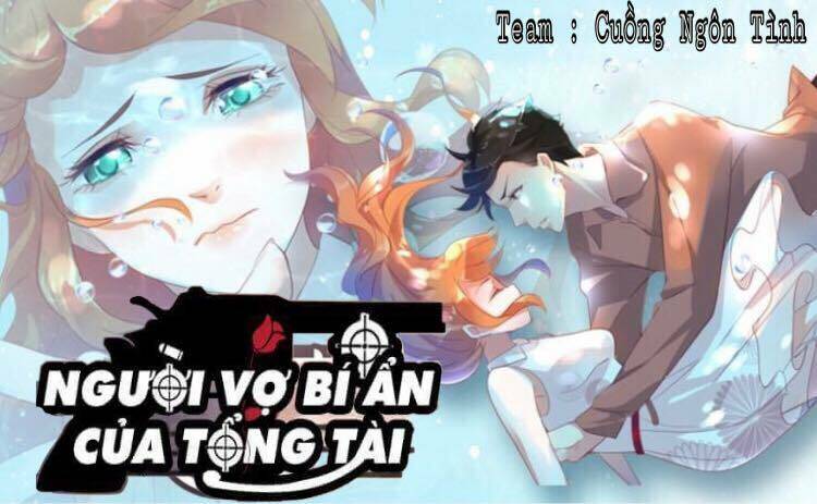 Người Vợ Bí Ẩn Của Tổng Tài Chapter 22 - Trang 2