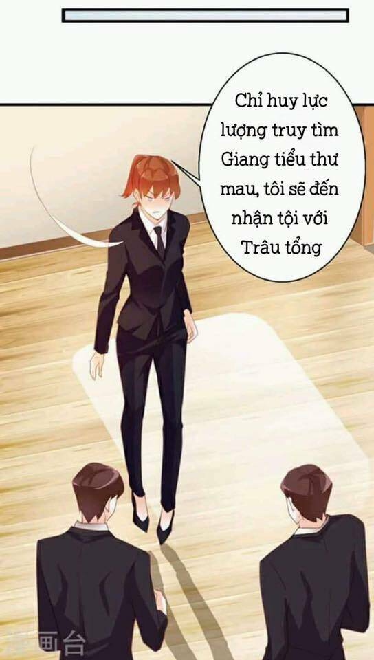 Người Vợ Bí Ẩn Của Tổng Tài Chapter 13 - Trang 2