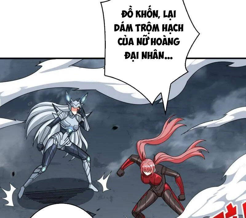 Vừa Chơi Đã Có Tài Khoản Vương Giả Chapter 484 - Trang 2