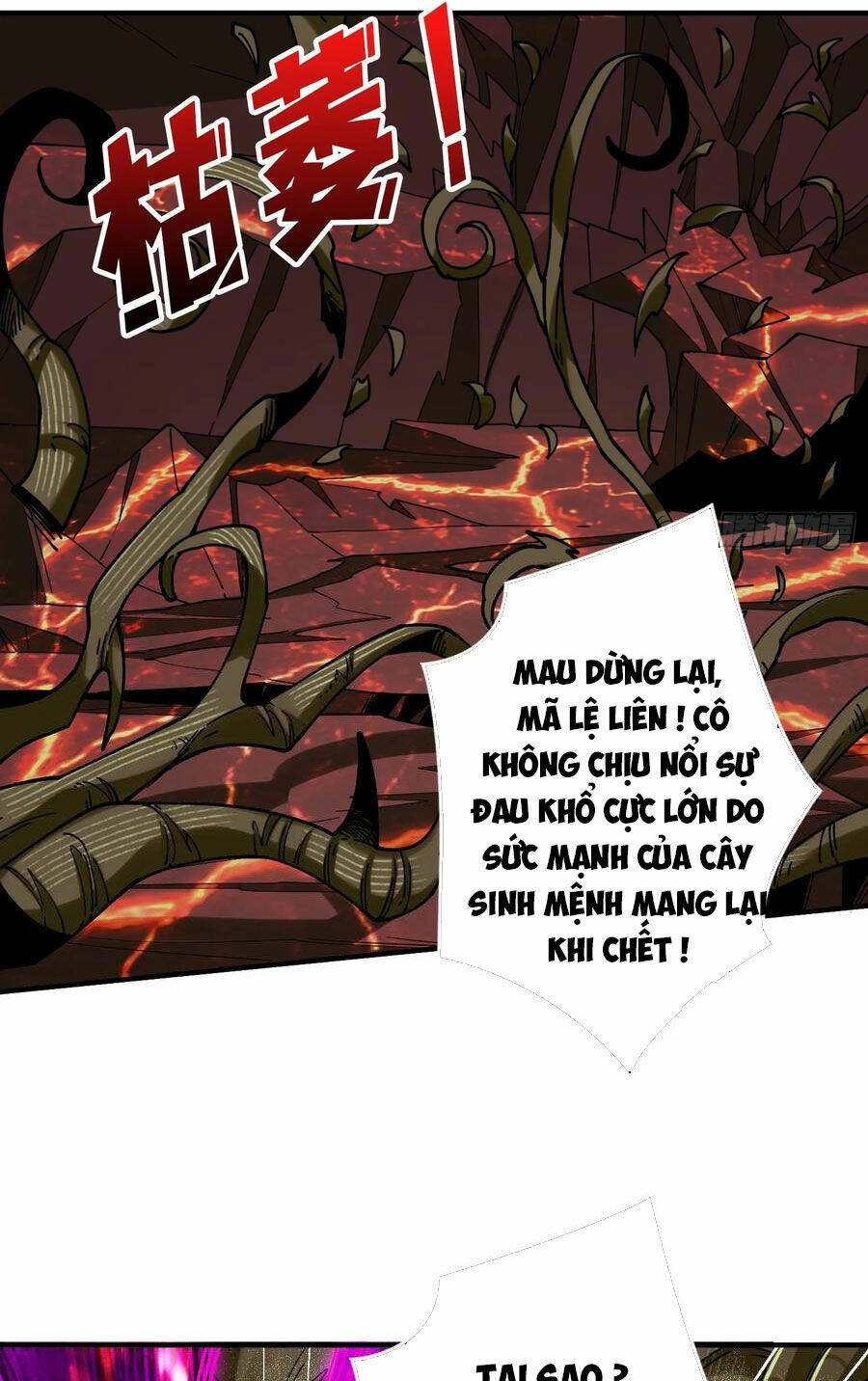 Vừa Chơi Đã Có Tài Khoản Vương Giả Chapter 304 - Trang 2